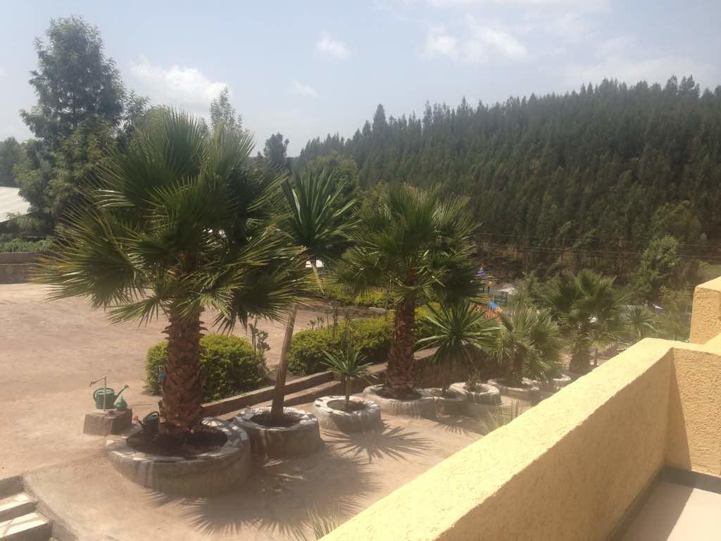 Joamla Hotel Dessie Bagian luar foto